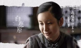 白鹿原电视剧,历史变迁中的家族传奇