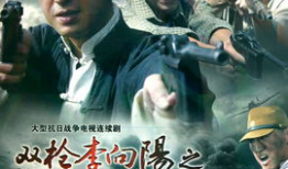 双枪电视剧演员表,揭秘电视剧演员阵容背后的精彩故事