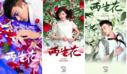 两生花电视剧,命运交织的奇幻之旅