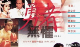 勇者无惧电视剧全集,热血征程，无畏挑战，谱写英雄传奇
