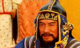 大将军年羹尧电视剧,权谋与忠诚的较量
