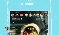 有关91se直播平台,娱乐与争议并存的热门直播平台解析