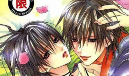 日本耽美漫画,日本耽美漫画中的爱恋与成长
