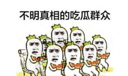 玉溪吃瓜群众爆料视频,视频曝光引发热议！