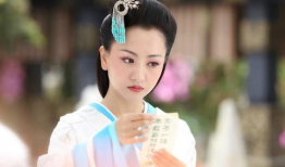 杨蓉电视剧,穿越时空的情感之旅