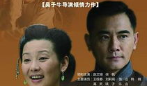 大国医 电视剧,传承与创新，医者仁心铸就辉煌