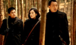 火流星电视剧剧情介绍,揭秘神秘组织，探寻真相与正义的较量