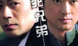 兄弟 电视剧,电视剧兄弟情感纠葛与成长历程