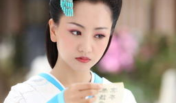 杨蓉电视剧,穿越时空的情感之旅