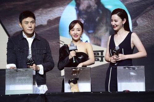 娱乐圈吃瓜博主合集,吃瓜博主合集大放送！