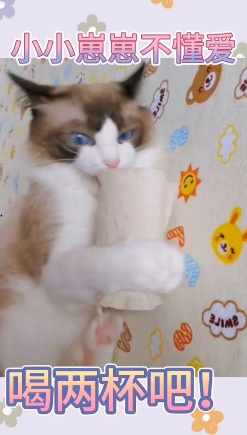 吃瓜娱乐小崽崽小说,小崽崽的娱乐圈奇遇记