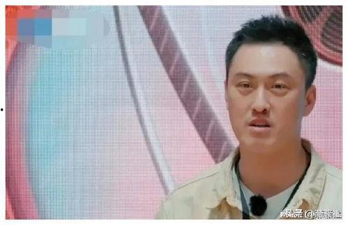 娱乐圈人吃瓜吗是真的吗,人吃瓜现象的真实性探讨