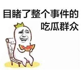 娱乐爆笑吃瓜视频大全